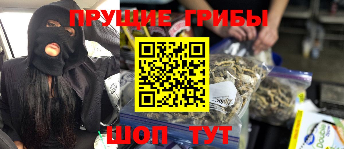 Галлюциногенные грибы Cubensis  Вход с VPN  Ахтубинск 